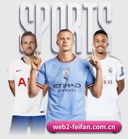 五大服务分区,信息按项目分类(feifan)
